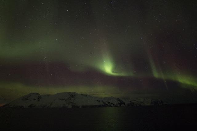 aurora3