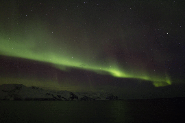 aurora4